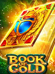 Descubra o Fascinante Mundo do Jogo BookofGold com 55fun